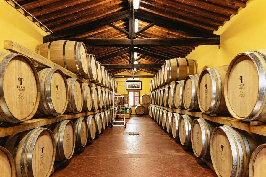 SMALL GROUP Tuscany Wine Tasting Safaris with Lunch / Dinner - Should you book the Chianti wine safari?