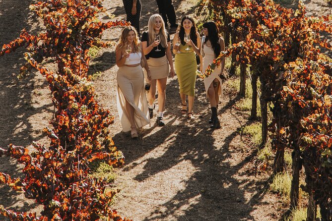 Small Group: Ultimate Napa & Sonoma Wine Tour from San Francisco - Two hours to make Sonoma Square your own