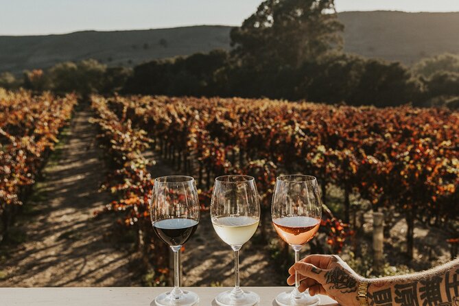 Small Group: Ultimate Napa & Sonoma Wine Tour from San Francisco - The Sonoma winery brings a different feel