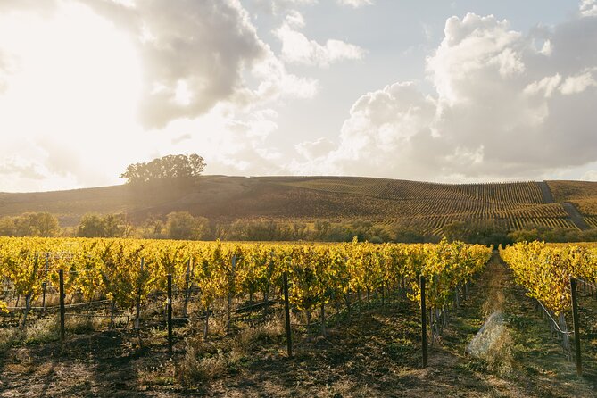 Small Group: Ultimate Napa & Sonoma Wine Tour from San Francisco - Is $179 a fair price?