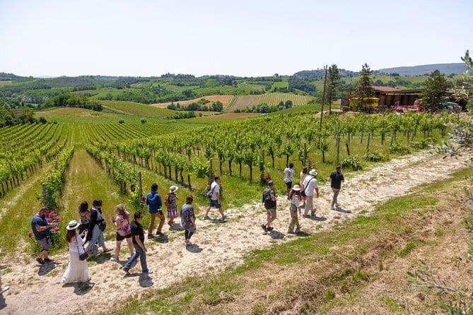 SMALL-GROUP Wine Safaris: Tuscan Wine Tasting Tours from Florence - Food is not an afterthought