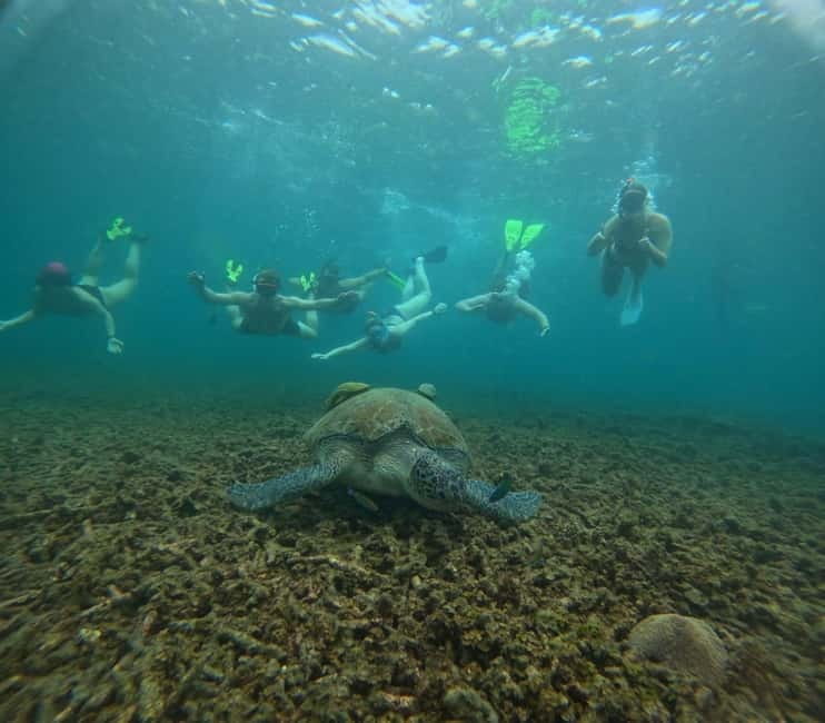 Snorkeling Tour with meals and BBQs - Cocktail - Sunset⭐⭐⭐⭐⭐ - Why this Koh Tao boat trip feels different