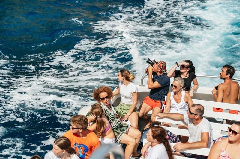 Sorrento: Coast and Capri Boat Trip with Limoncello Tasting - What the limoncello tasting really means