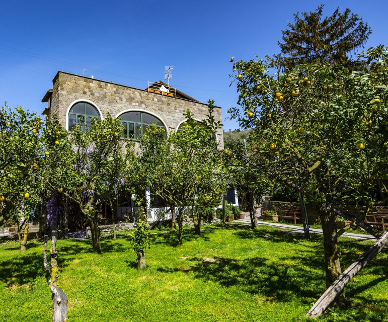 Sorrento: Coast E-Bike Tour with Limoncello Tasting - Who should book this Sorrento e-bike tour?