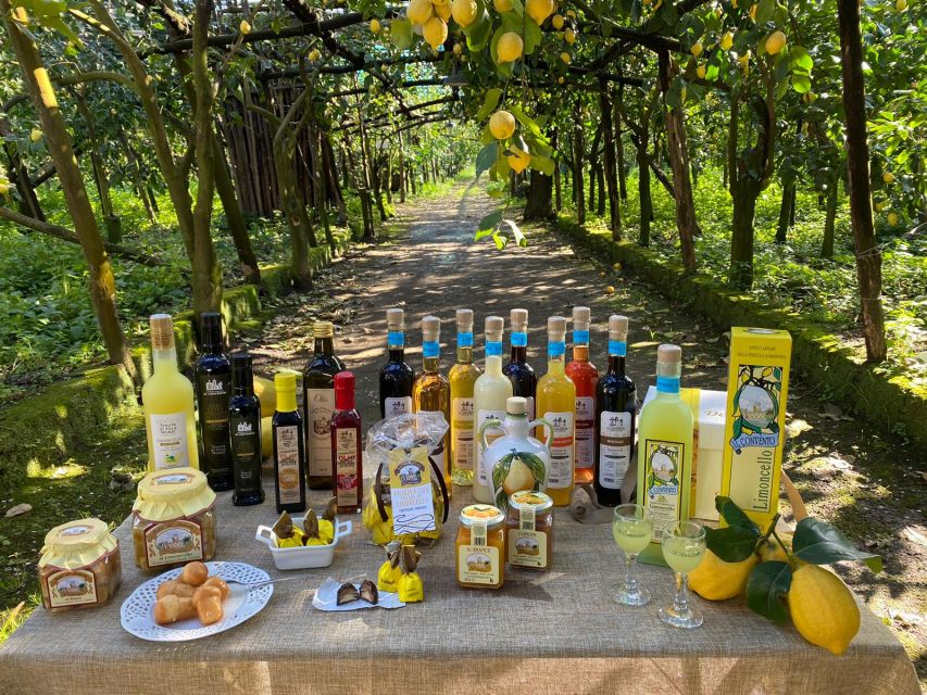 Sorrento: Coast E-Bike Tour with Limoncello Tasting - Through olive trees and lemon groves toward Massa Lubrense