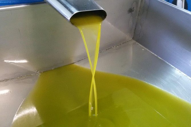 Sorrento Farm and Food Experience including Olive Oil, Limoncello, Wine tasting - A working farm above Sorrento