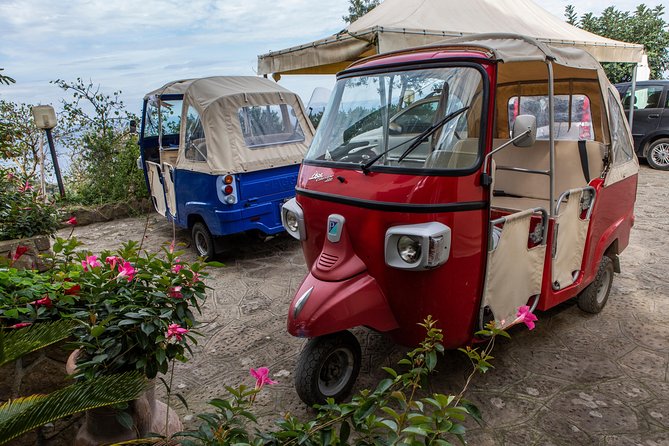 Sorrento Farm by Tuk Tuk: Cheese, Limoncello & Hands-On Pizza - Coffee, Dessert, and Family-Recipe Limoncello