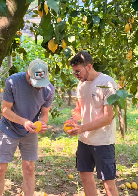 Sorrento: Lemon Picking Tour with Limoncello Tasting - Lemonade, marmalade, and the limoncello table