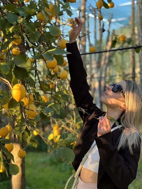 Sorrento: Lemon Picking Tour with Limoncello Tasting - Why the small group size changes the visit