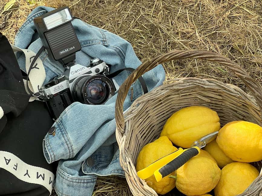Sorrento: Lemon Picking Tour with Limoncello Tasting - Picking your own lemons with a basket and scissors