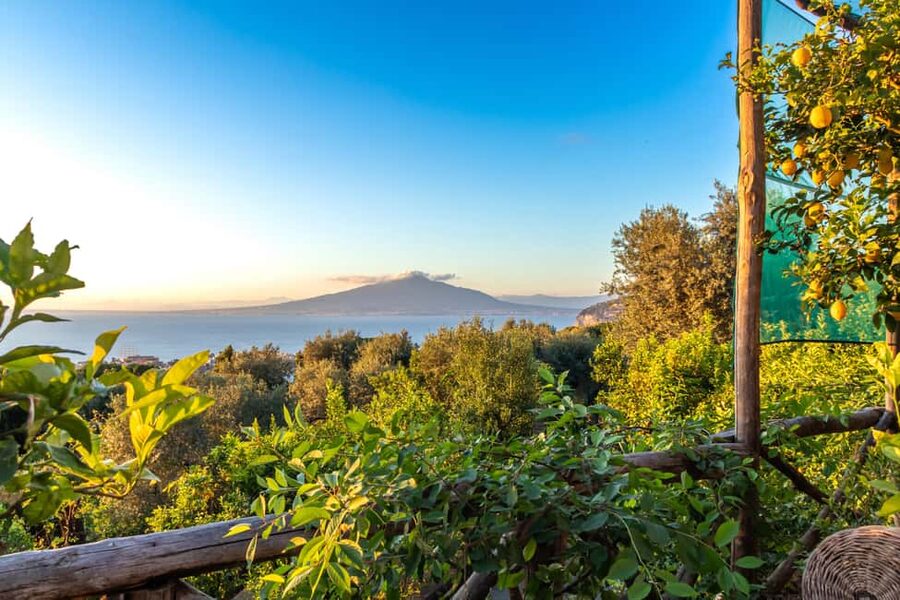 SORRENTO: Limoncello Making And Tasting Experience - Making limoncello in the lemon garden