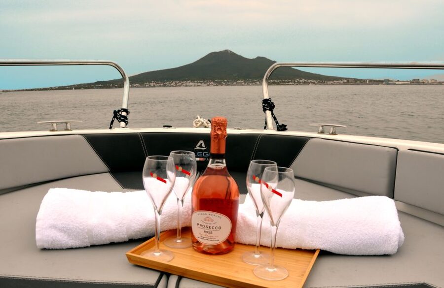 Sorrento: Private Sunset Cuise with Prosecco and Limoncello - Sorrento seen from the sea