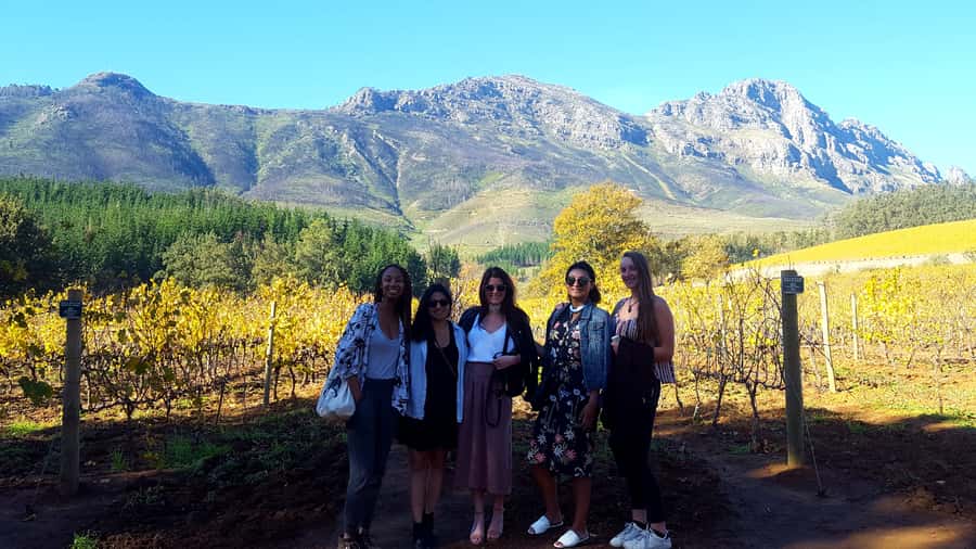 Stellenbosch: Eastern Route Hop-On Hop-Off Wine Tour - A self-planned wine day for $29