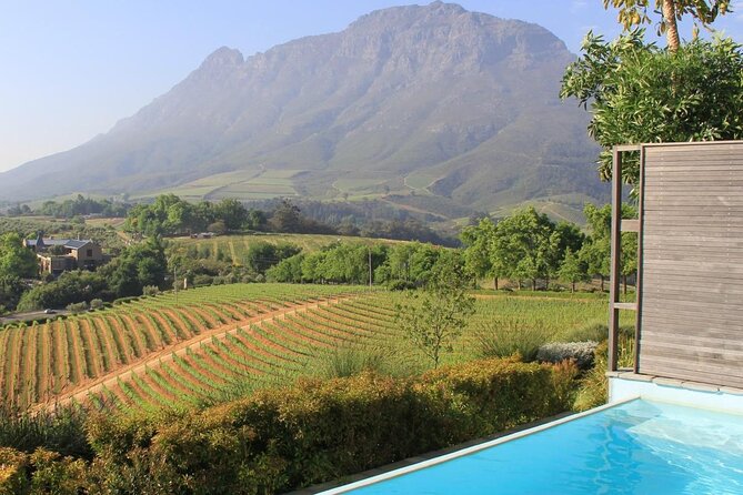 Stellenbosch & Franschhoek 20 Wine Tasting + Lunch Shared Tour - Key points to know before booking