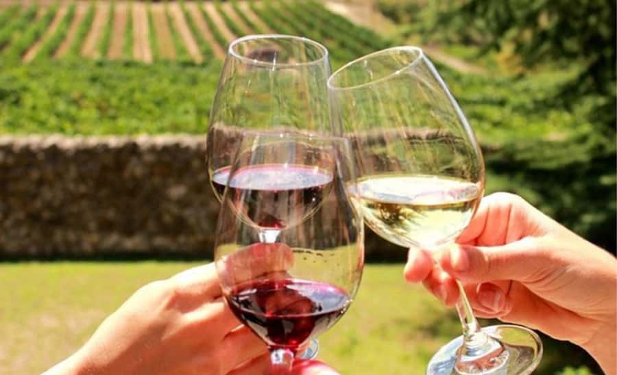 Stellenbosch: Half-Day Wine Tour - Why this Stellenbosch tour works in half a day
