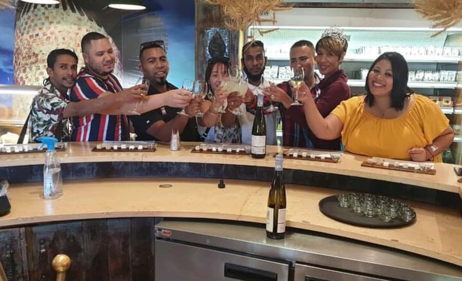 Stellenbosch: Half-Day Wine Tour - Food options, children, and accessibility
