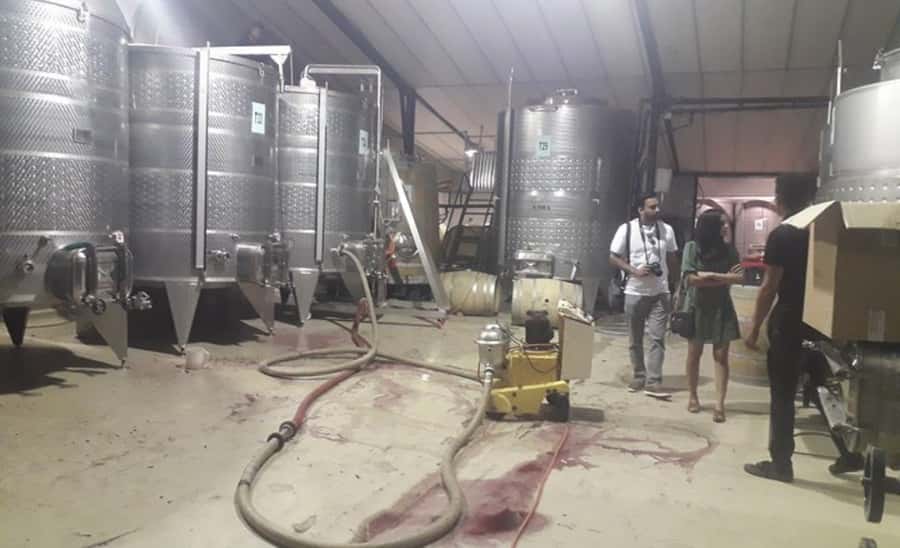 Stellenbosch: Half-Day Wine Tour - What the price includes, and what it does not