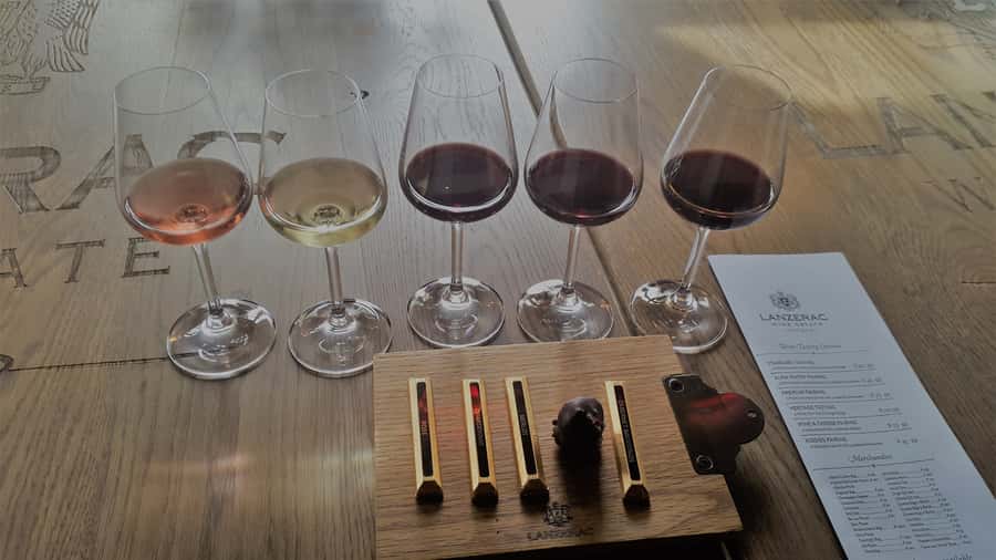 Stellenbosch: Historical Bike Tour & Wine Tasting - Who should book it