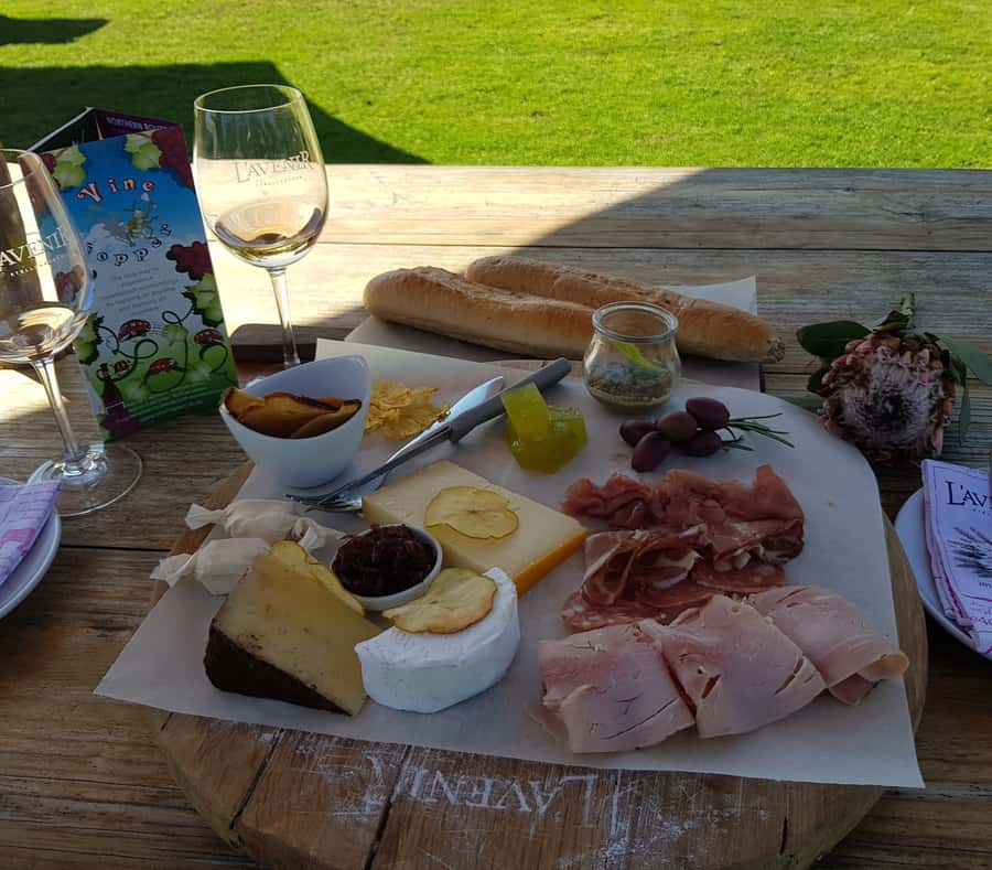 Stellenbosch: Hop-On Hop-Off Northern Route Wine Tour - Why the $29 ticket can be good value