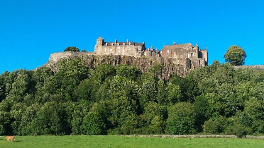 Stirling Castle, Highland Lochs & Whisky Tour from Edinburgh - Highland cows and the road into the Trossachs
