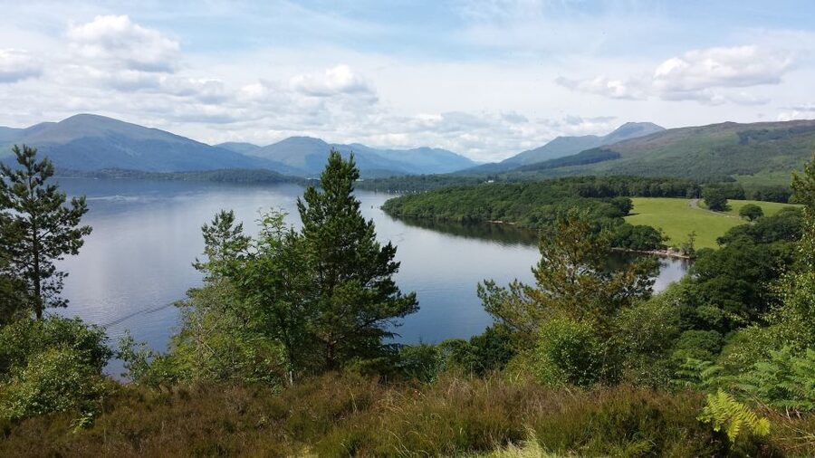 Stirling Castle, Highland Lochs & Whisky Tour from Edinburgh - Transport, group size, and the real cost