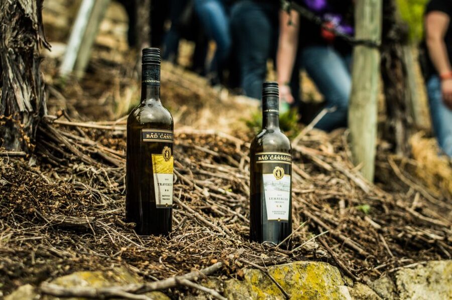 Stuttgart: Guided Vineyards Tour - Key points at a glance