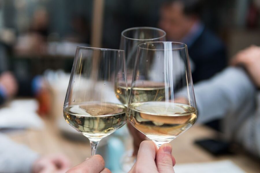 Stuttgart: Guided Vineyards Tour - Should you book the Steinhalde vineyard tour?