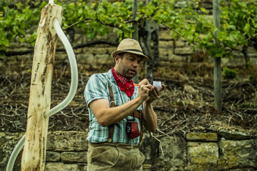Stuttgart: Guided Vineyards Tour - Why Stuttgart’s vineyards make a good city outing