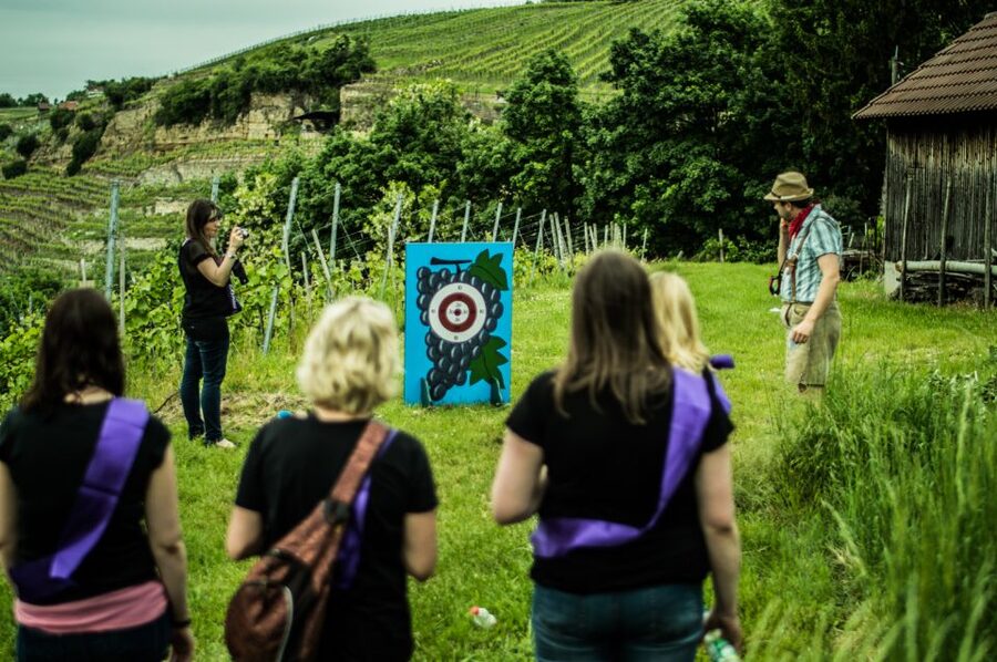Stuttgart: Guided Vineyards Tour - A guide-led walk in English or German