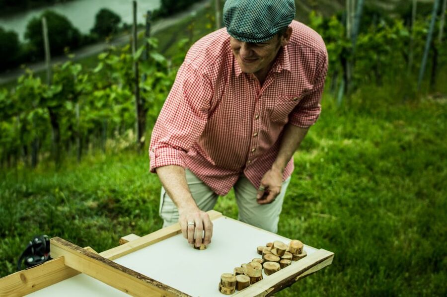 Stuttgart: Guided Vineyards Tour - Who will enjoy this Stuttgart wine tour?