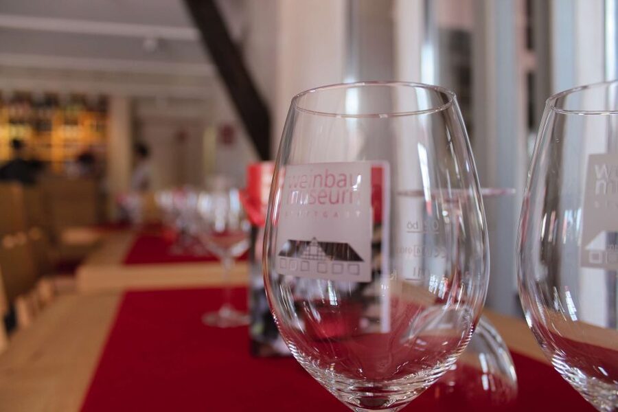 Stuttgart: Stuttgart Wine Museum Wine Tasting - A one-hour introduction to Stuttgart wine