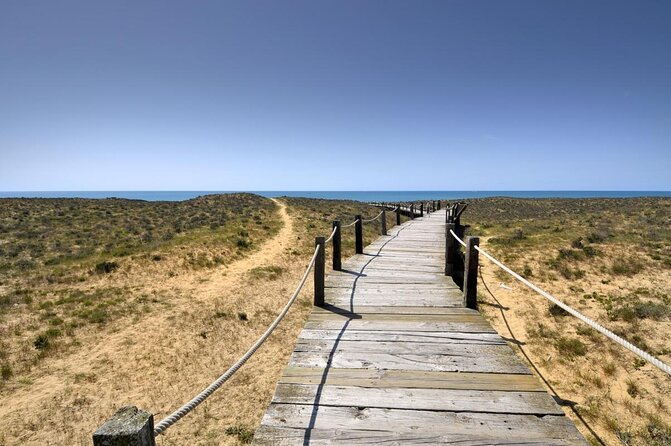 Sunset Beach Safari w/ Champagne & Chicken Piri Piri Dinner - Key points to know before you book
