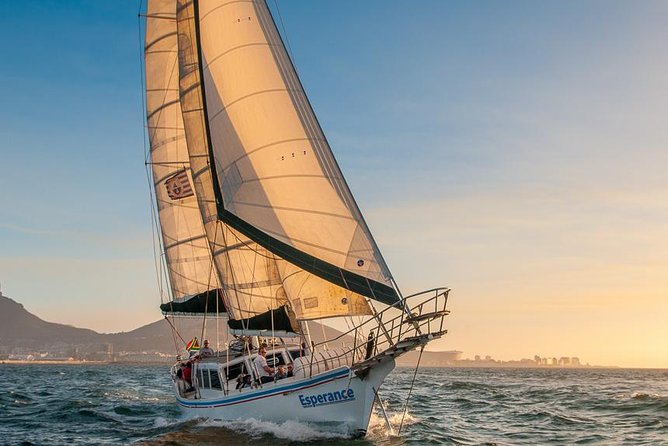 Sunset Champagne Cruise from Cape Town - Wind, waves, and the right clothing