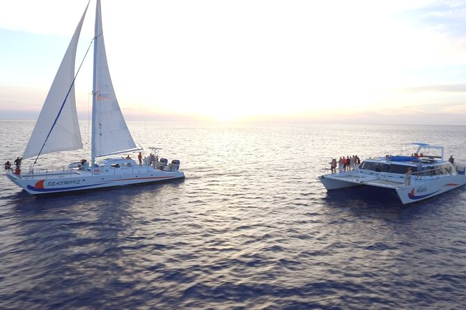 Sunset Cocktail Cruise on our Sailing Catamaran - Key points to know before booking