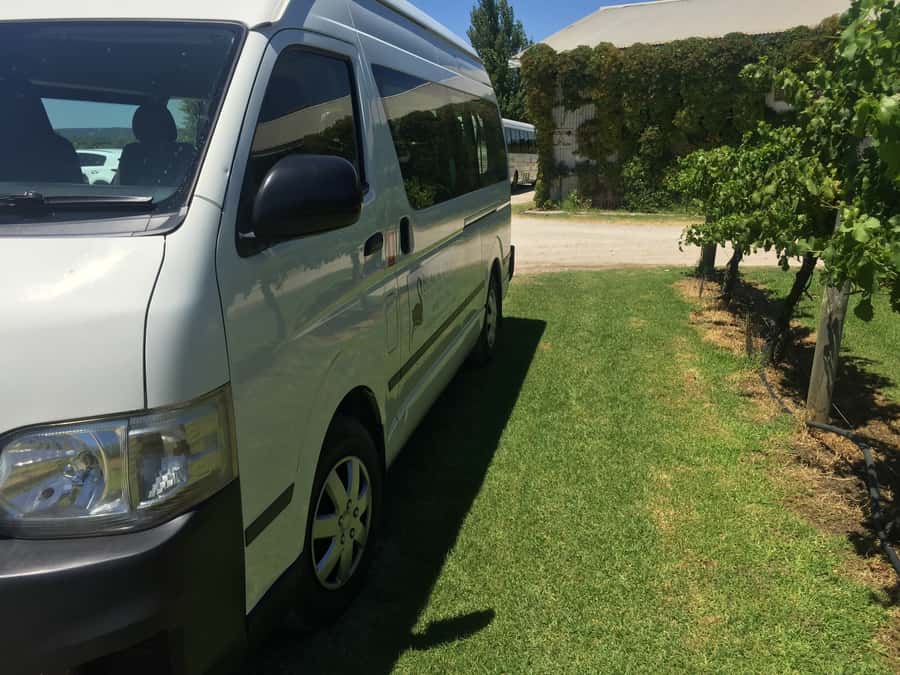Swan Valley: Full-Day Wine Tour with Lunch - Why the guide can make or break the day