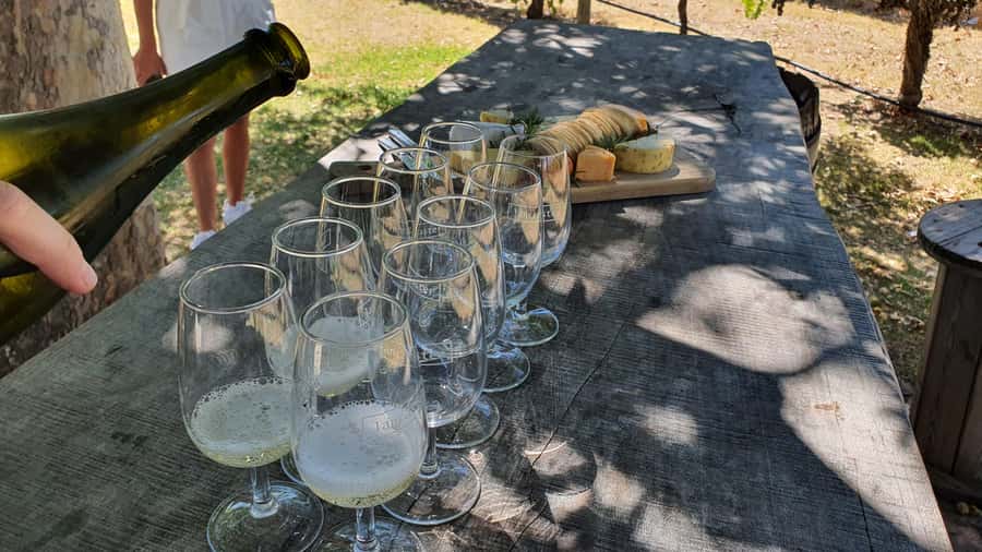 Swan Valley: Full-Day Wine Tour with Lunch - The first wineries: compare rather than simply drink