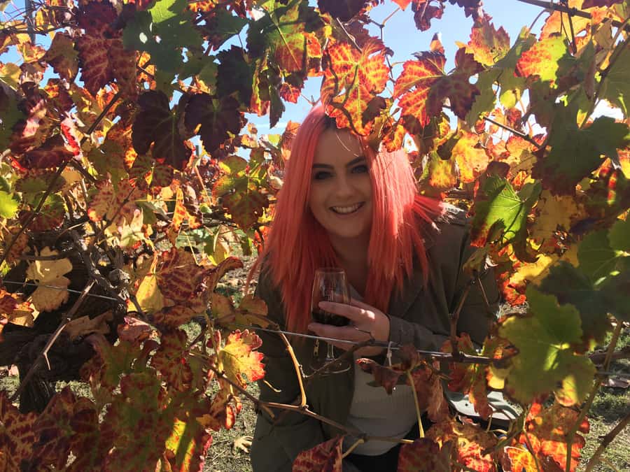 Swan Valley Full-Day Winery Experience with Lunch from Perth - The guide can make or break a group day