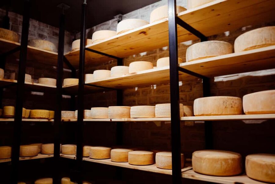 Swiss Cheese Tasting Experience | Basel - Booking details, timing, and flexibility