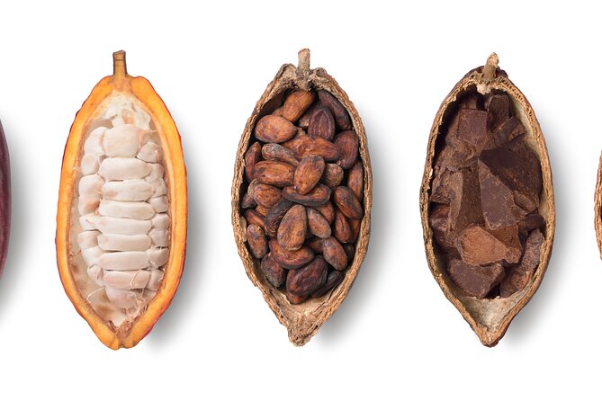 Swiss Chocolate Tasting Experience | Basel - The chocolate is about origin, not just sweetness