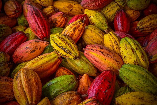 Swiss Chocolate Tasting Experience | Basel - How the explanations add value