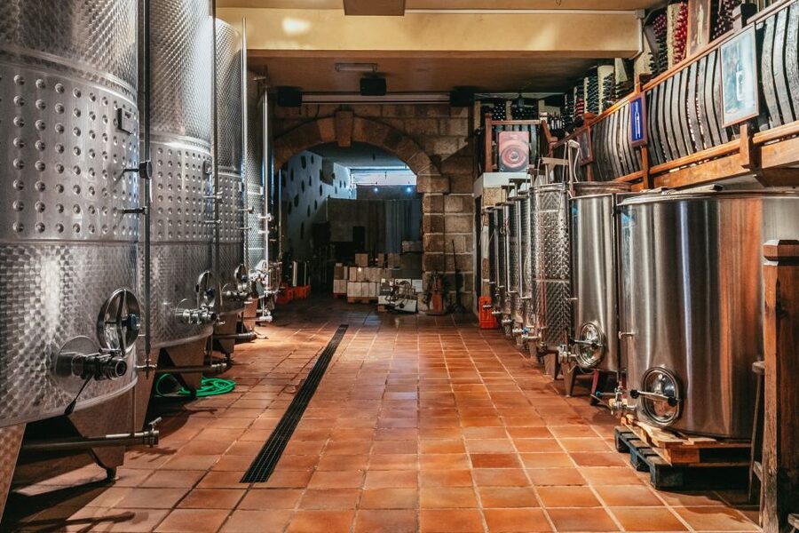 Tacoronte: Guided Winery Tour with Wine and Cheese Tastings - Should you book Bodegas Monje?