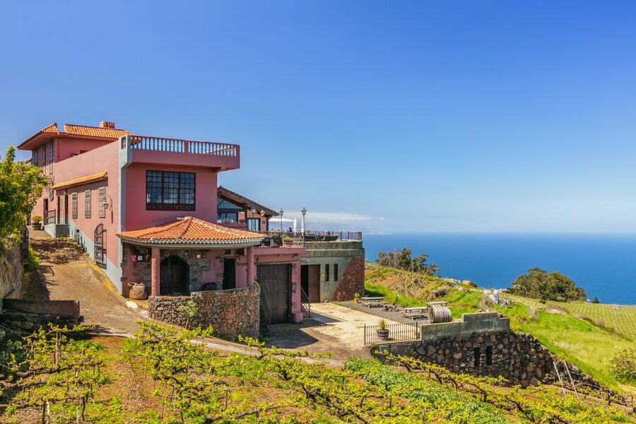 Tacoronte: Guided Winery Tour with Wine and Cheese Tastings - Why Bodegas Monje feels different from a standard wine stop
