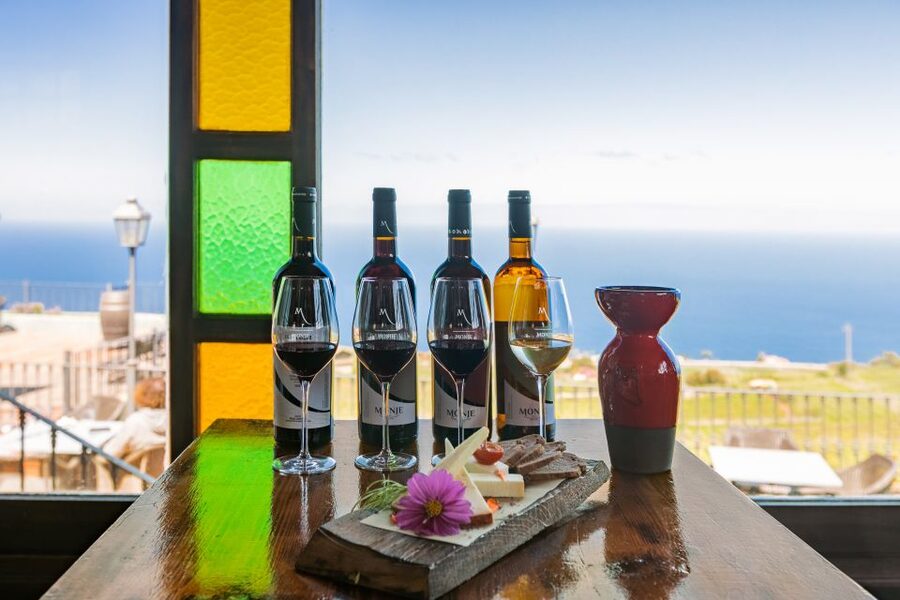 Tacoronte: Guided Winery Tour with Wine and Cheese Tastings - What you learn about volcanic Tenerife wine