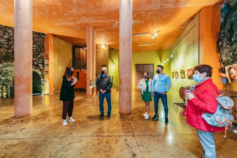 Tacoronte: Guided Winery Tour with Wine and Cheese Tastings - Four pairings that turn the tasting into a lesson