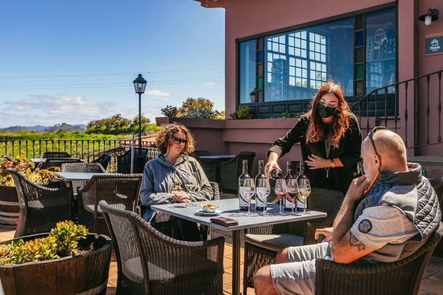 Tacoronte: Guided Winery Tour with Wine and Cheese Tastings - The setting is part of the experience