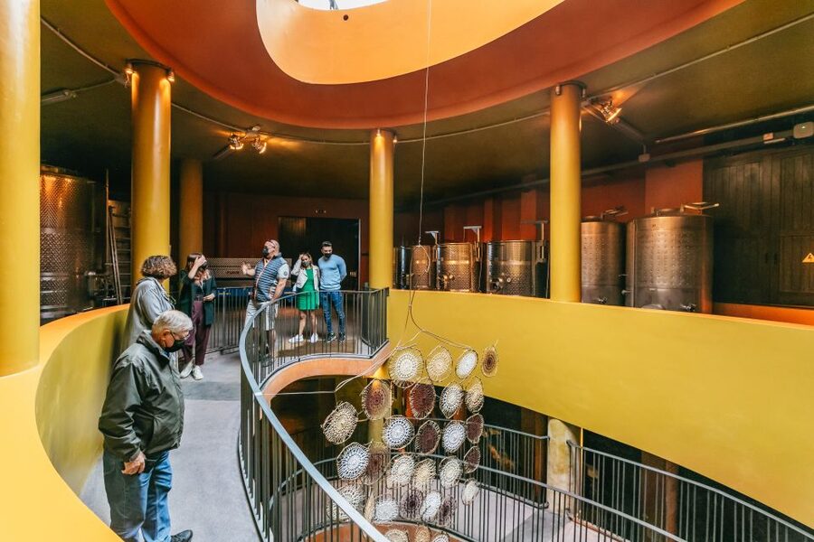 Tacoronte: Guided Winery Tour with Wine and Cheese Tastings - Who will enjoy this tour most?