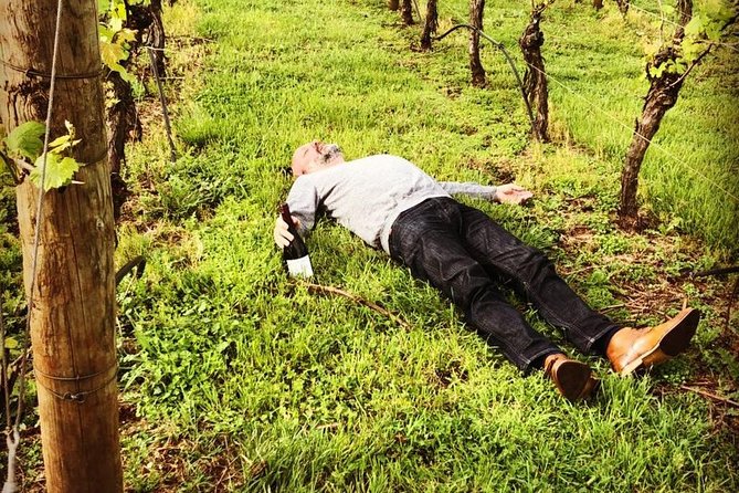 Tamar Valley Wine Tour with Lunch - Practical points before you go