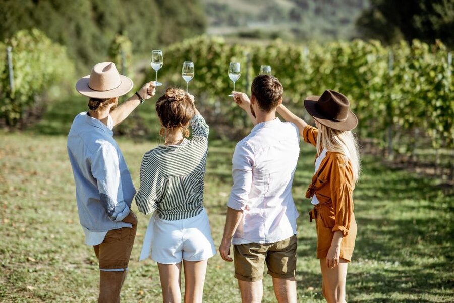 Taormina: Guided Etna Wine Tasting Half-Day Tour - Fiumefreddo, Piedimonte Etneo, and Linguaglossa