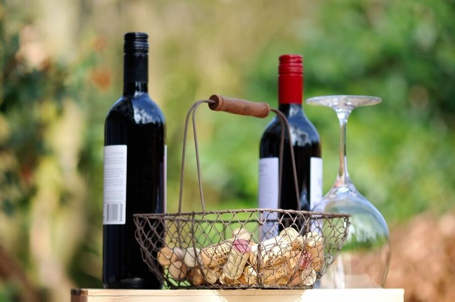 Taormina: Guided Etna Wine Tasting Half-Day Tour - Who should book this tour?