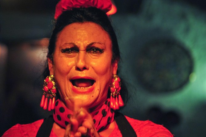 Tapas, Wine and Flamenco Private Tour in Barcelona - Who will enjoy this Barcelona evening?